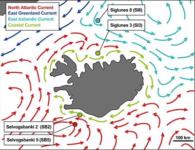 Marine Microbial Communities of North and South Shelves of Iceland